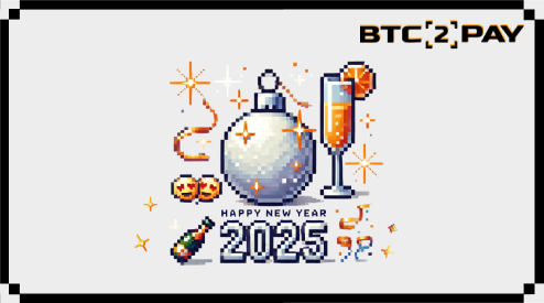 Wishing you peace, stability, and financial growth in 2025! Thank you for choosing BTC2PAY